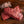 Grass-fed, grass-finished Flat Iron Steaks (12 oz) — Mariposa Ranch