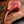 Grass-fed, grass-finished Tomahawk Rib Steak — Mariposa Ranch (photo 2)