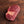 Grass-fed, grass-finished Cross Cut Beef Shank (16 oz) — Mariposa Ranch (photo 2)