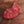 Grass-fed, grass-finished Beef Cube Steak (12oz) — Mariposa Ranch (photo 2)