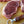 Grass-fed, grass-finished New York Strip Steak (12 oz) — Mariposa Ranch (photo 3)