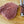 Grass-fed, grass-finished Sirloin Tip Steak (20 oz) — Mariposa Ranch (photo 3)