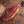 Grass-fed, grass-finished New York Strip Steak (12 oz) — Mariposa Ranch (photo 2)