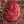 Grass-fed, grass-finished Sirloin Tip Steak (20 oz) — Mariposa Ranch